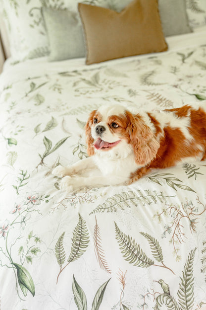 Botanicals Duvet Cover & Sham Set