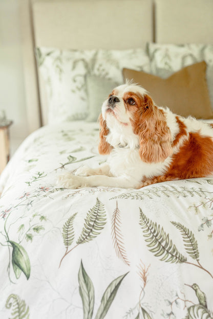 Botanicals Duvet Cover & Sham Set