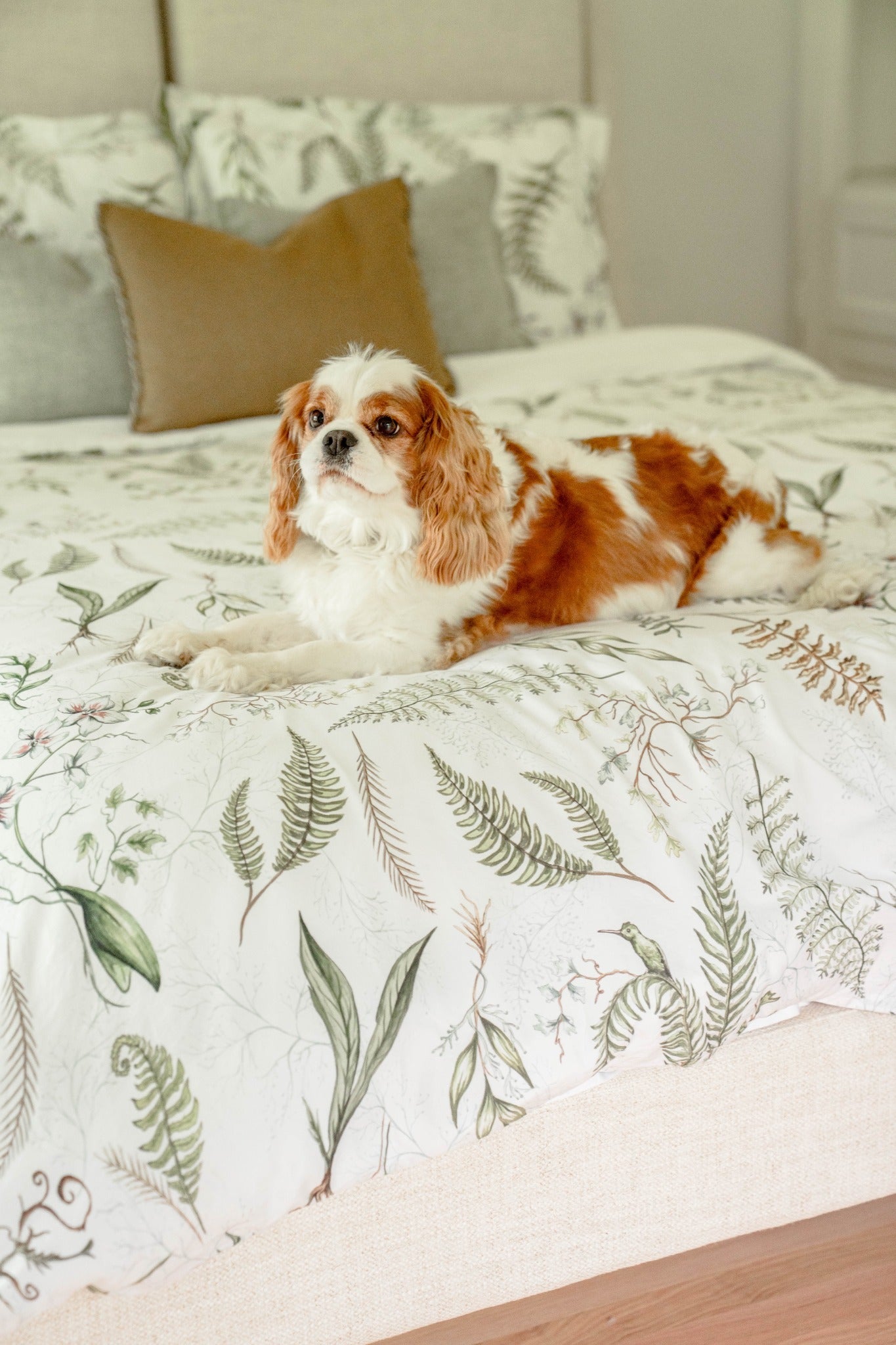 Botanicals Duvet Cover & Sham Set